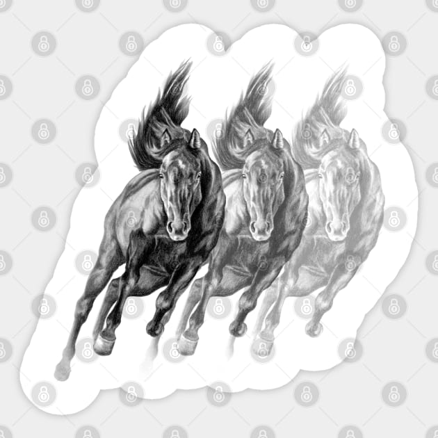 Galloping Black Horses Trio Sticker by Eden Song